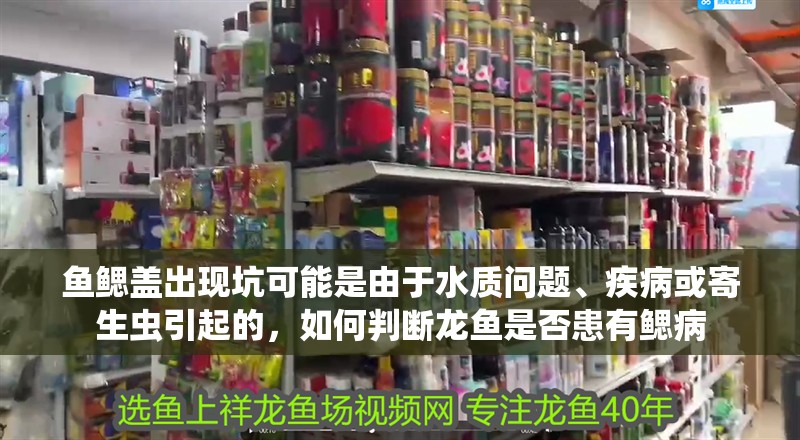 魚鰓蓋出現坑可能是由于水質問題、疾病或寄生蟲引起的，如何判斷龍魚是否患有鰓病
