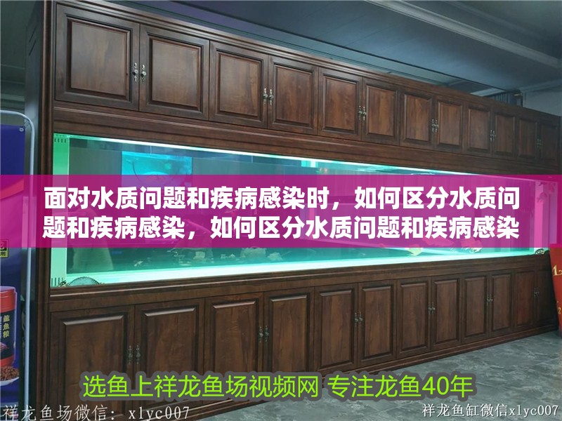 面對水質(zhì)問題和疾病感染時，如何區(qū)分水質(zhì)問題和疾病感染，如何區(qū)分水質(zhì)問題和疾病感染