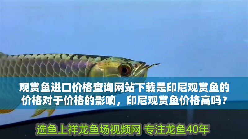 觀賞魚進口價格查詢網站下載是印尼觀賞魚的價格對于價格的影響，印尼觀賞魚價格高嗎？