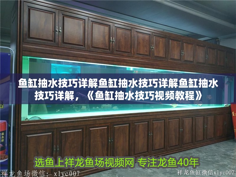 魚缸抽水技巧詳解魚缸抽水技巧詳解魚缸抽水技巧詳解，《魚缸抽水技巧視頻教程》