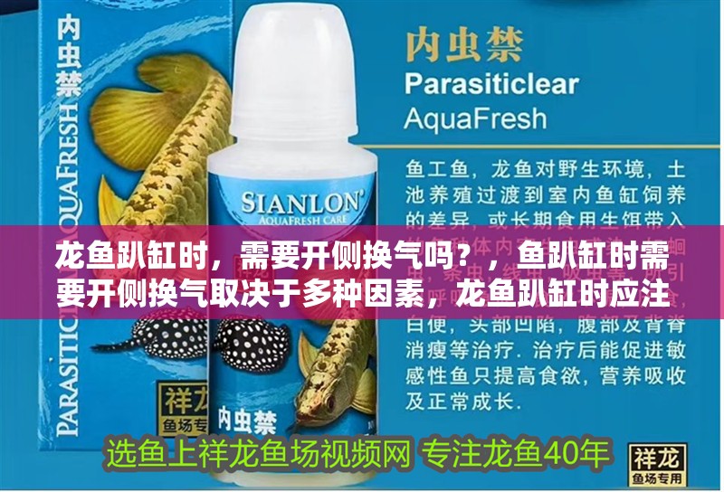 龍魚趴缸時，需要開側換氣嗎？，魚趴缸時需要開側換氣取決于多種因素，龍魚趴缸時應注意以下幾點