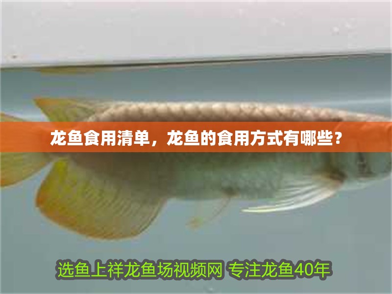 龍魚食用清單，龍魚的食用方式有哪些？