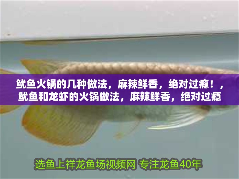 魷魚(yú)火鍋的幾種做法，麻辣鮮香，絕對(duì)過(guò)癮！，魷魚(yú)和龍蝦的火鍋?zhàn)龇ǎ槔滨r香，絕對(duì)過(guò)癮