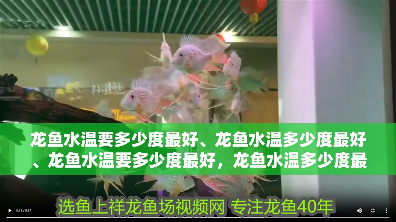 龍魚水溫要多少度最好、龍魚水溫多少度最好、龍魚水溫要多少度最好，龍魚水溫多少度最好、龍魚水溫要多少度才適宜養好龍魚