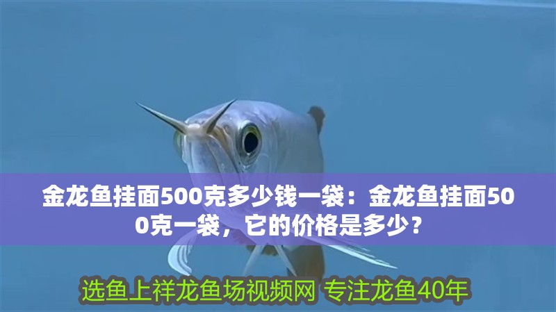 金龍魚掛面500克多少錢一袋：金龍魚掛面500克一袋，它的價(jià)格是多少？