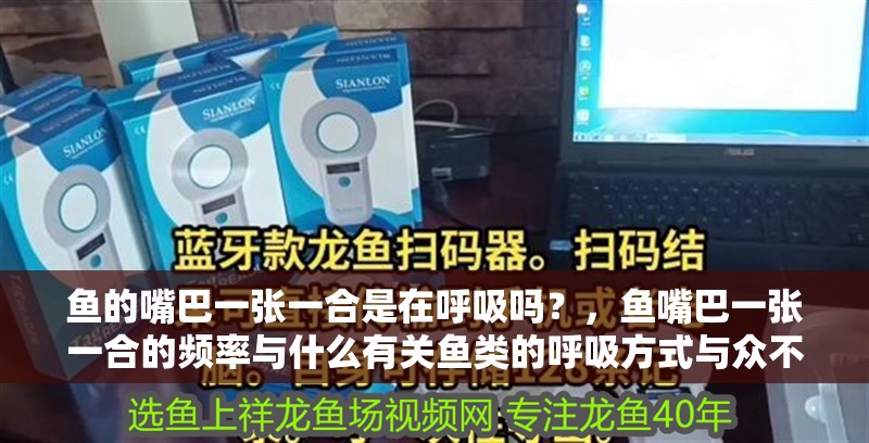 魚的嘴巴一張一合是在呼吸嗎？，魚嘴巴一張一合的頻率與什么有關魚類的呼吸方式與眾不同