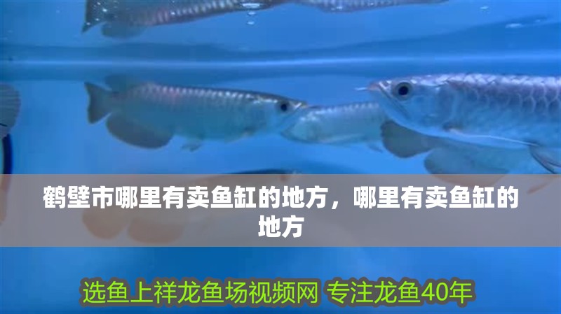 鶴壁市哪里有賣魚缸的地方，哪里有賣魚缸的地方