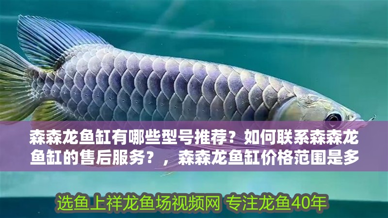森森龍魚缸有哪些型號推薦？如何聯系森森龍魚缸的售后服務？，森森龍魚缸價格范圍是多少森森超白魚缸水族箱客廳大型底濾