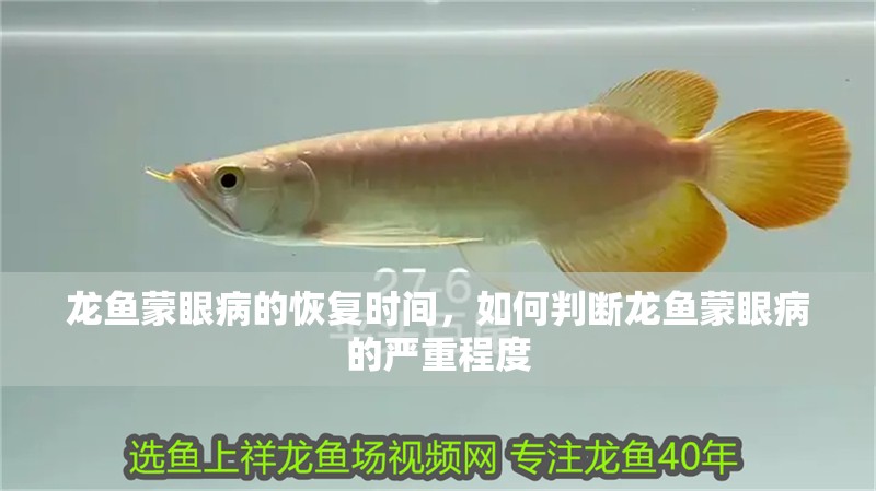 龍魚蒙眼病的恢復時間，如何判斷龍魚蒙眼病的嚴重程度