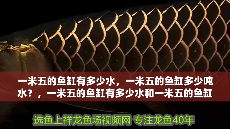 一米五的魚缸有多少水，一米五的魚缸多少噸水？，一米五的魚缸有多少水和一米五的魚缸多少噸水對應信息