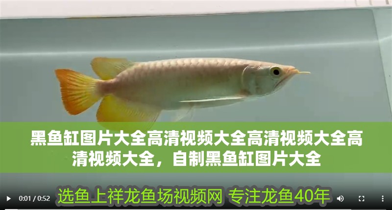 黑魚缸圖片大全高清視頻大全高清視頻大全高清視頻大全，自制黑魚缸圖片大全