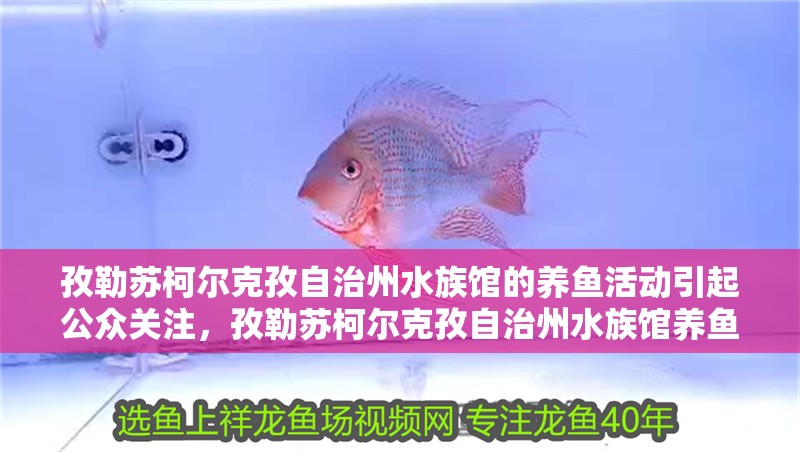 孜勒蘇柯爾克孜自治州水族館的養(yǎng)魚活動引起公眾關(guān)注，孜勒蘇柯爾克孜自治州水族館養(yǎng)魚活動引發(fā)了公眾的關(guān)注