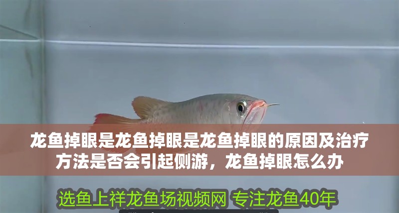 龍魚掉眼是龍魚掉眼是龍魚掉眼的原因及治療方法是否會引起側(cè)游，龍魚掉眼怎么辦
