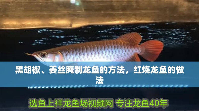 黑胡椒、姜絲腌制龍魚的方法，紅燒龍魚的做法