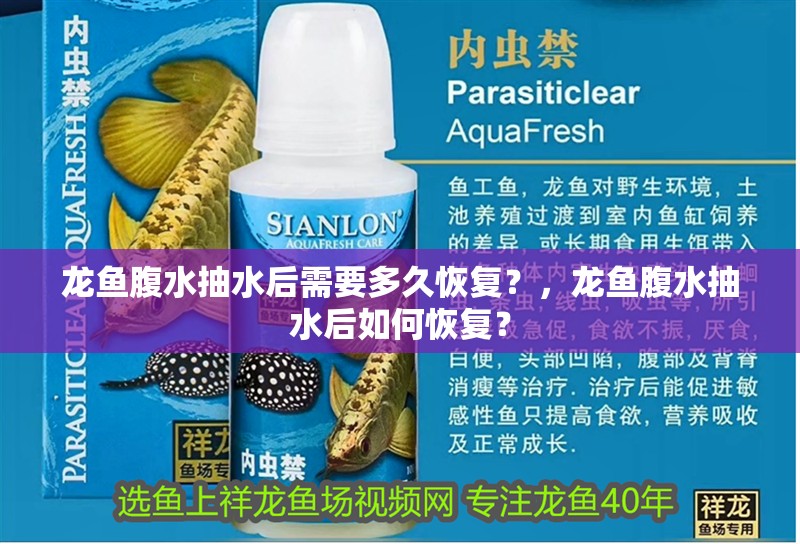 龍魚腹水抽水后需要多久恢復?,龍魚腹水抽水后如何恢復? 龍魚百科 第3張 龍魚腹水抽水后需要多久恢復?,龍魚腹水抽水后如何恢復? 龍魚腹水抽水后需要多久恢復?,龍魚腹水抽水后如何恢復? 龍魚百科 第3張