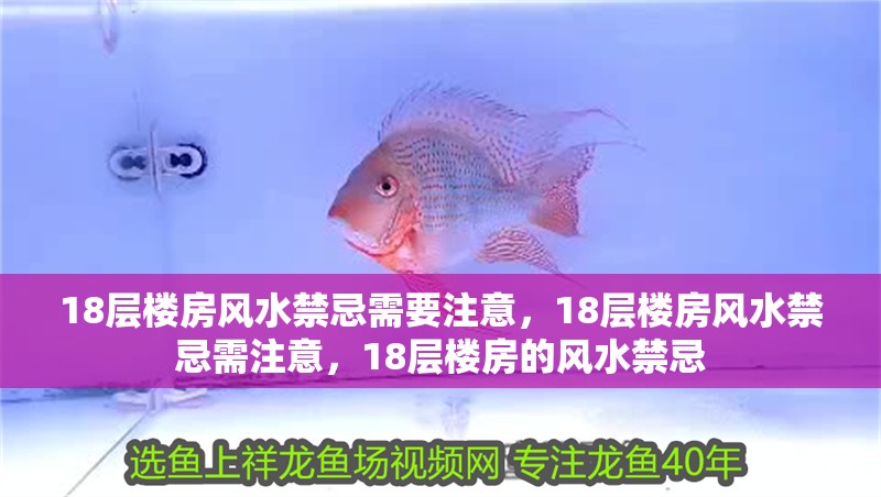 18層樓房風水禁忌需要注意，18層樓房風水禁忌需注意，18層樓房的風水禁忌