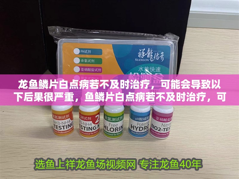 龍魚鱗片白點(diǎn)病若不及時(shí)治療，可能會(huì)導(dǎo)致以下后果很嚴(yán)重，魚鱗片白點(diǎn)病若不及時(shí)治療，可能會(huì)導(dǎo)致以下后果很嚴(yán)重