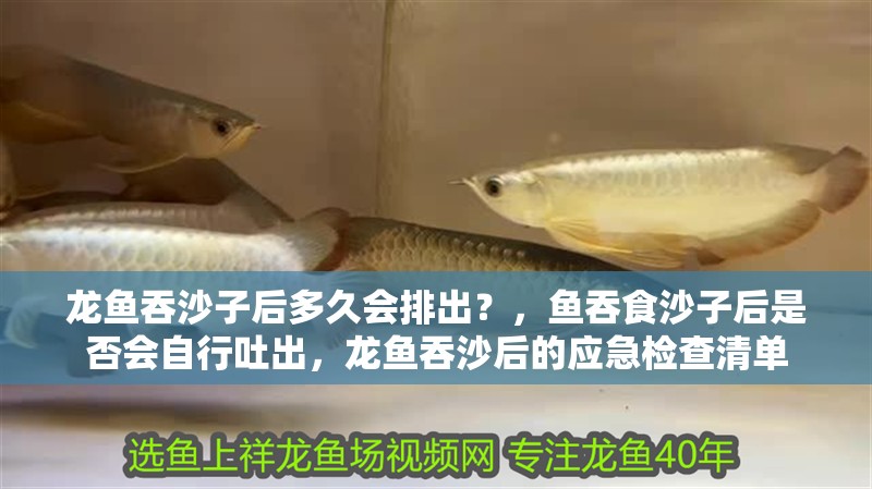 龍魚吞沙子后多久會排出？，魚吞食沙子后是否會自行吐出，龍魚吞沙后的應急檢查清單
