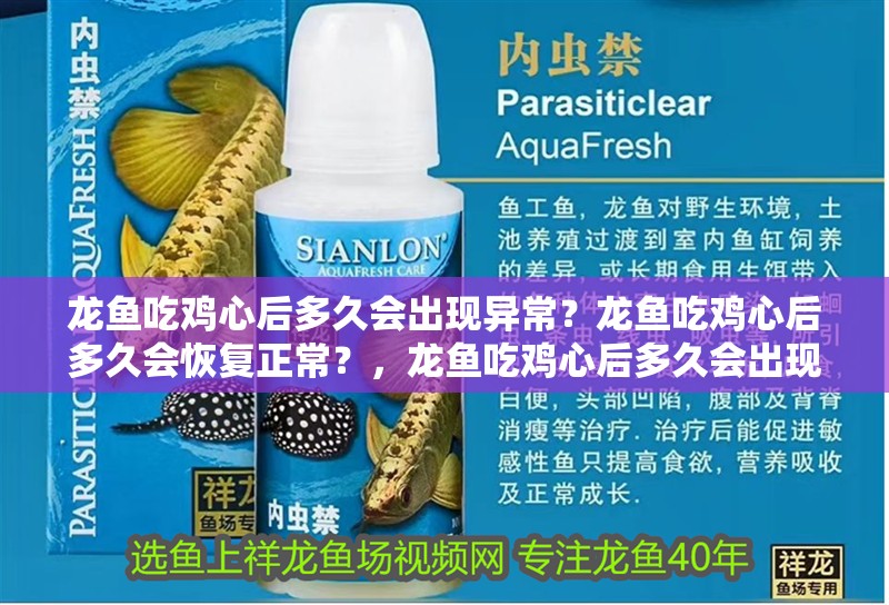 龍魚吃雞心后多久會(huì)出現(xiàn)異常？龍魚吃雞心后多久會(huì)恢復(fù)正常？，龍魚吃雞心后多久會(huì)出現(xiàn)異常問(wèn)題，龍魚中毒急救清單