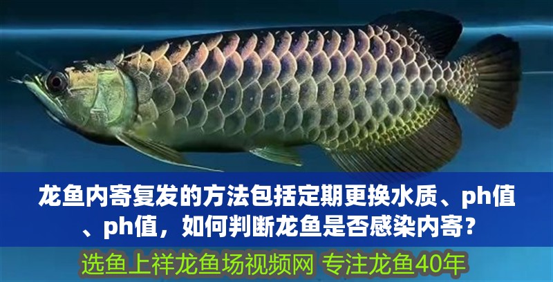 龍魚(yú)內(nèi)寄復(fù)發(fā)的方法包括定期更換水質(zhì)、ph值、ph值，如何判斷龍魚(yú)是否感染內(nèi)寄？