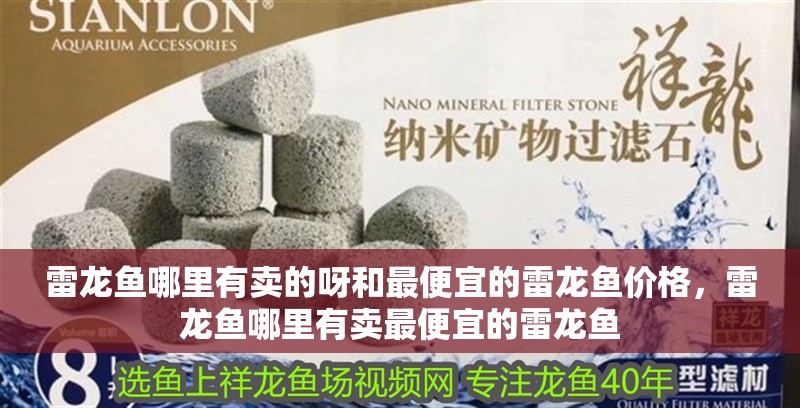 雷龍魚哪里有賣的呀和最便宜的雷龍魚價格，雷龍魚哪里有賣最便宜的雷龍魚