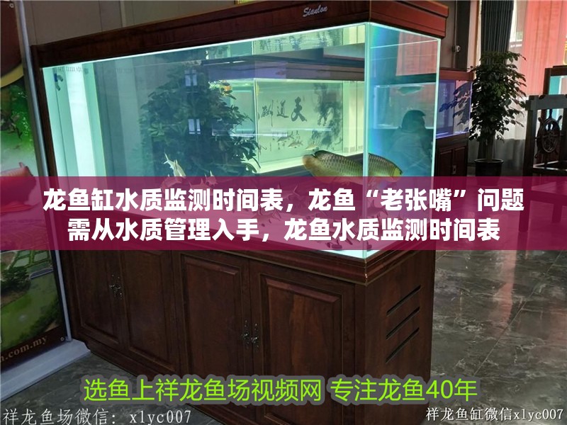 龍魚缸水質監測時間表，龍魚“老張嘴”問題需從水質管理入手，龍魚水質監測時間表