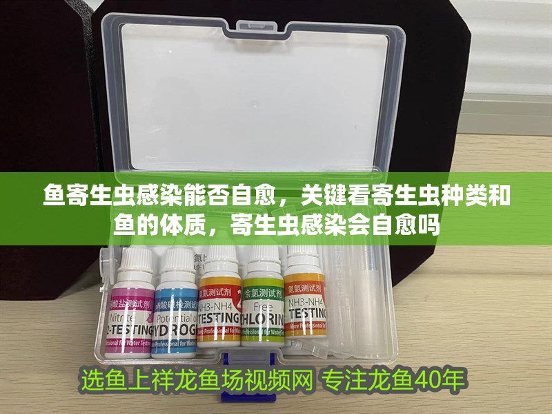 魚寄生蟲感染能否自愈，關鍵看寄生蟲種類和魚的體質，寄生蟲感染會自愈嗎