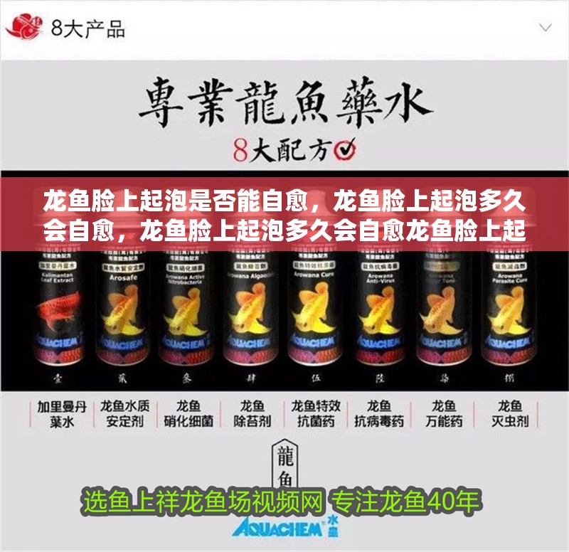 龍魚臉上起泡是否能自愈，龍魚臉上起泡多久會自愈，龍魚臉上起泡多久會自愈龍魚臉上起泡多久會自愈