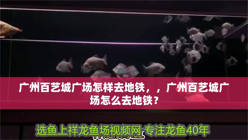 廣州百藝城廣場怎樣去地鐵，，廣州百藝城廣場怎么去地鐵？