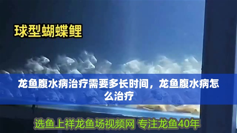 龍魚腹水病治療需要多長時間，龍魚腹水病怎么治療