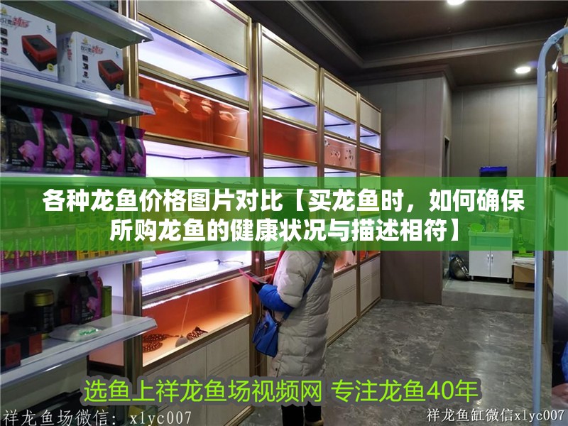 各種龍魚價格圖片對比【買龍魚時，如何確保所購龍魚的健康狀況與描述相符】