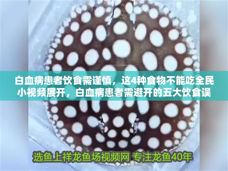 白血病患者飲食需謹慎，這4種食物不能吃全民小視頻展開，白血病患者需避開的五大飲食誤區