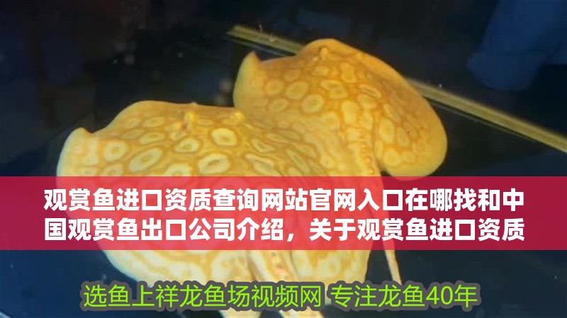 觀賞魚進口資質查詢網站官網入口在哪找和中國觀賞魚出口公司介紹，關于觀賞魚進口資質查詢網站官網入口在哪找