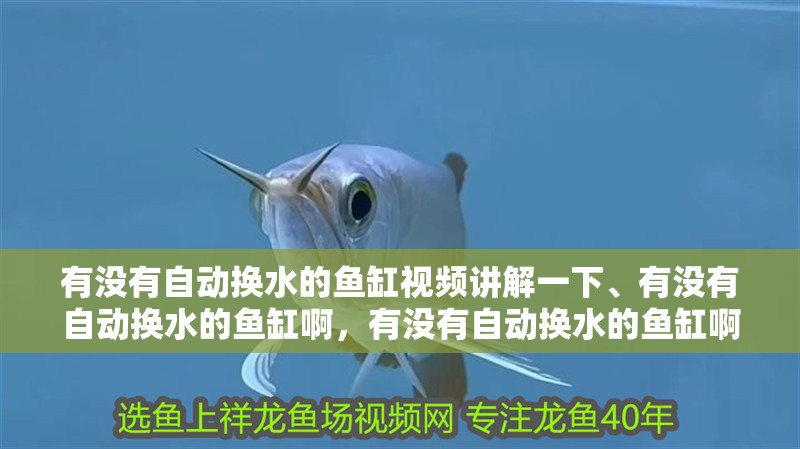 有沒有自動換水的魚缸視頻講解一下、有沒有自動換水的魚缸啊，有沒有自動換水的魚缸啊