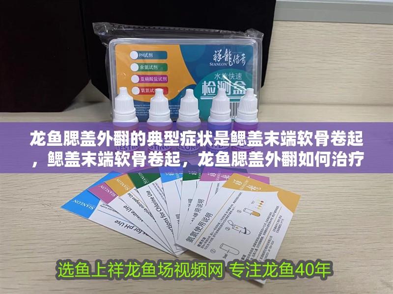 龍魚腮蓋外翻的典型癥狀是鰓蓋末端軟骨卷起，鰓蓋末端軟骨卷起，龍魚腮蓋外翻如何治療