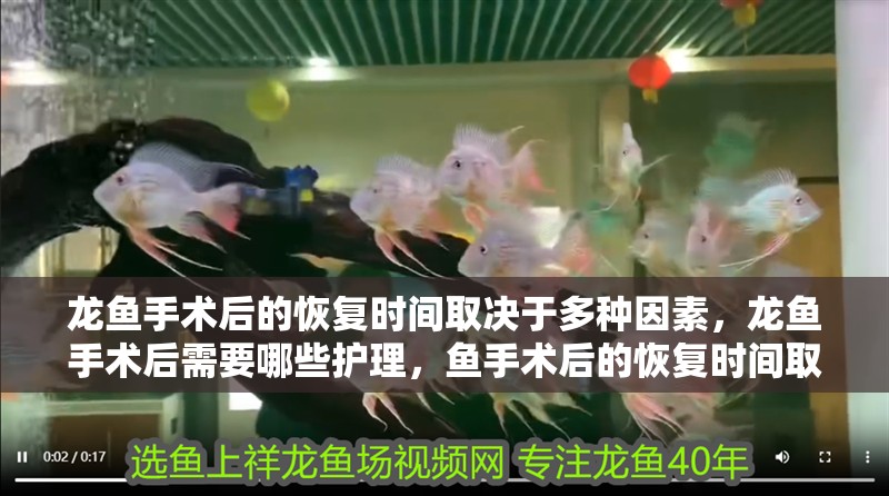 龍魚手術后的恢復時間取決于多種因素，龍魚手術后需要哪些護理，魚手術后的恢復時間取決于多種因素，龍魚手術后需要哪些護理