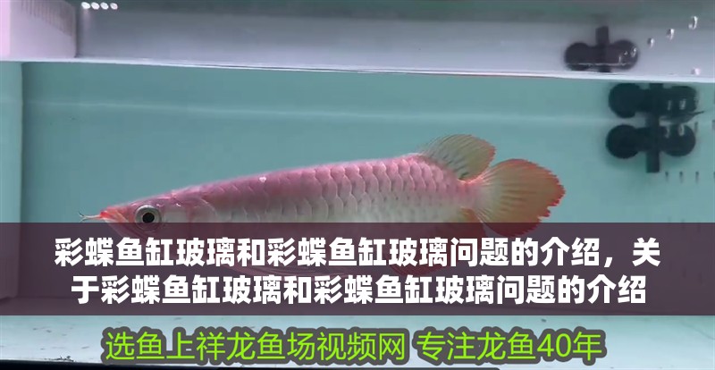 彩蝶魚缸玻璃和彩蝶魚缸玻璃問題的介紹，關于彩蝶魚缸玻璃和彩蝶魚缸玻璃問題的介紹