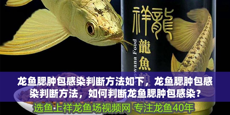 龍魚(yú)腮腫包感染判斷方法如下，龍魚(yú)腮腫包感染判斷方法，如何判斷龍魚(yú)腮腫包感染？