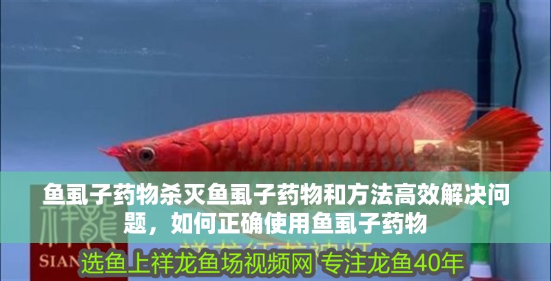 魚虱子藥物殺滅魚虱子藥物和方法高效解決問題，如何正確使用魚虱子藥物