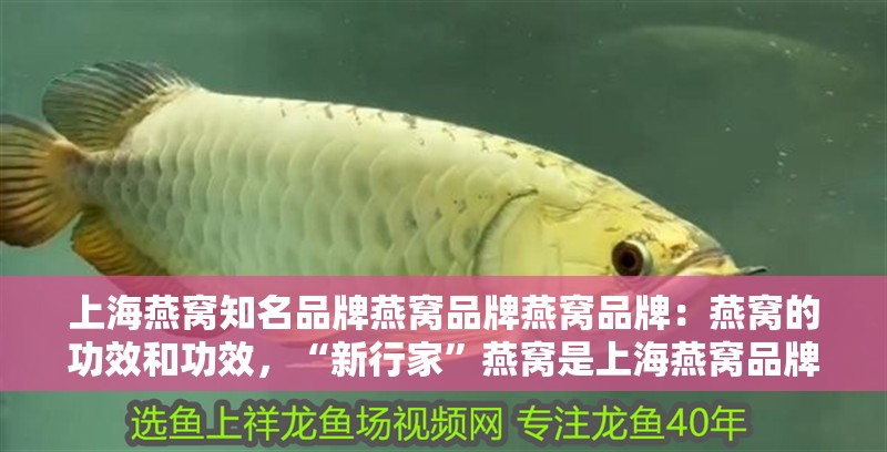 上海燕窩知名品牌燕窩品牌燕窩品牌：燕窩的功效和功效，“新行家”燕窩是上海燕窩品牌