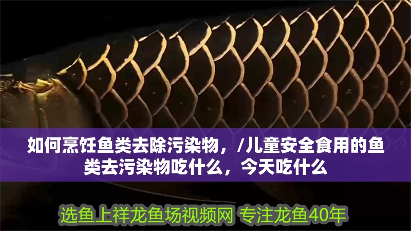 如何烹飪魚類去除污染物，/兒童安全食用的魚類去污染物吃什么，今天吃什么