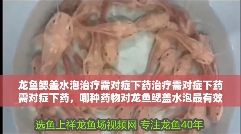 龍魚鰓蓋水泡治療需對癥下藥治療需對癥下藥需對癥下藥，哪種藥物對龍魚鰓蓋水泡最有效？
