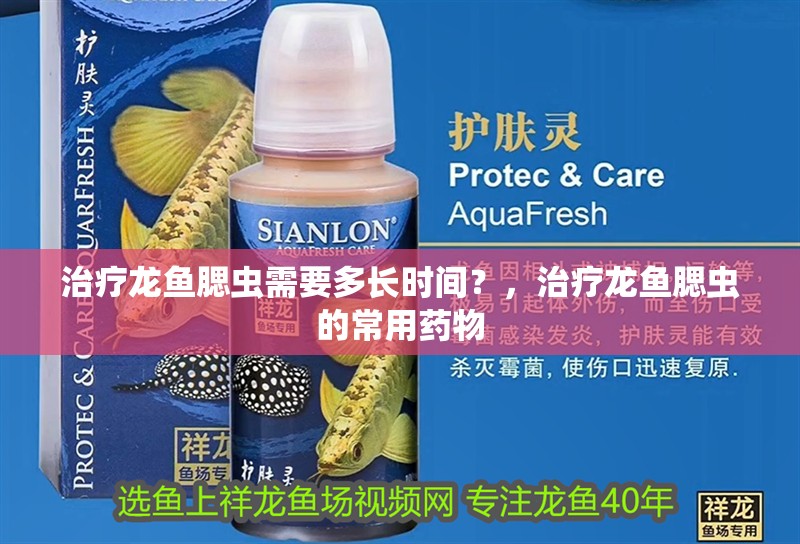 治療龍魚腮蟲需要多長時間？，治療龍魚腮蟲的常用藥物