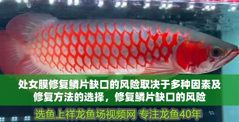 處女膜修復鱗片缺口的風險取決于多種因素及修復方法的選擇，修復鱗片缺口的風險