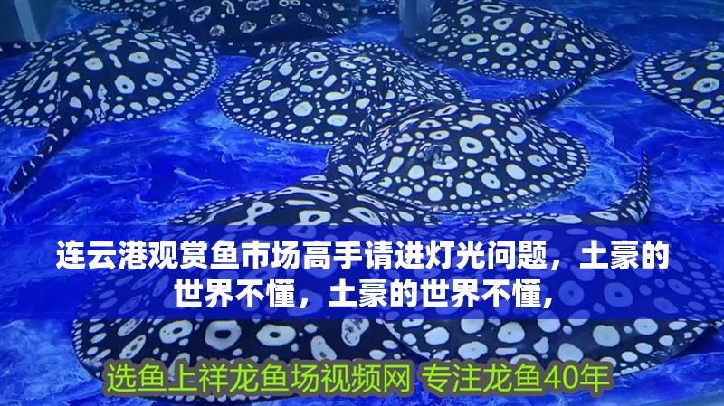 連云港觀賞魚市場高手請進(jìn)燈光問題，土豪的世界不懂，土豪的世界不懂,