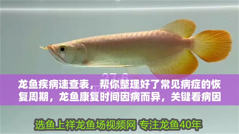 龍魚疾病速查表，幫你整理好了常見病癥的恢復周期，龍魚康復時間因病而異，關鍵看病因和治療是否及時恢復