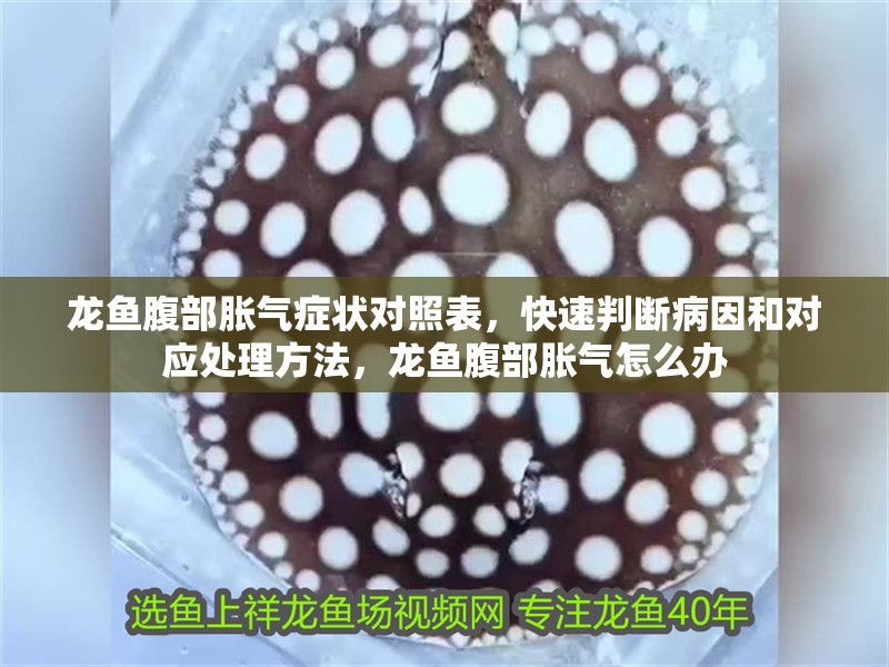 龍魚腹部脹氣癥狀對照表，快速判斷病因和對應處理方法，龍魚腹部脹氣怎么辦