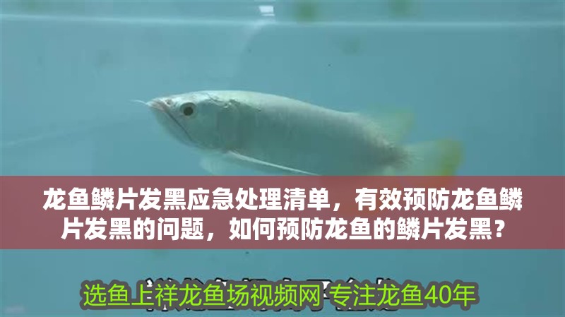 龍魚鱗片發黑應急處理清單，有效預防龍魚鱗片發黑的問題，如何預防龍魚的鱗片發黑？