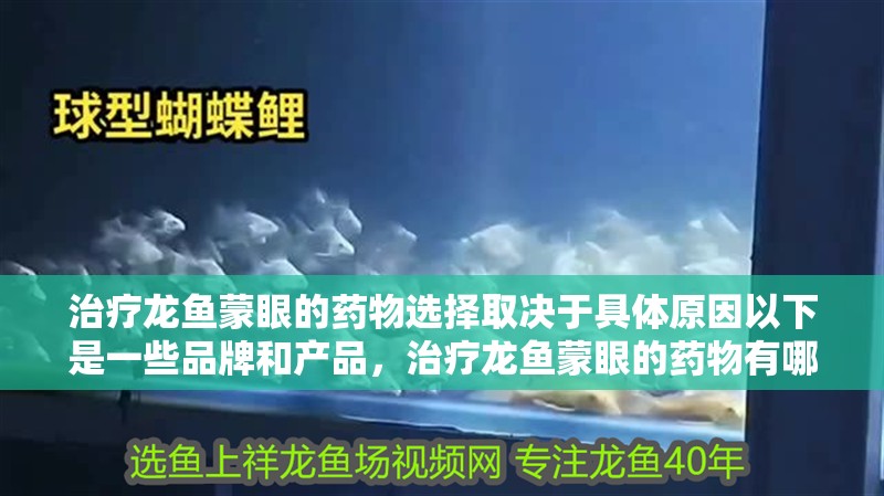 治療龍魚蒙眼的藥物選擇取決于具體原因以下是一些品牌和產品，治療龍魚蒙眼的藥物有哪些？