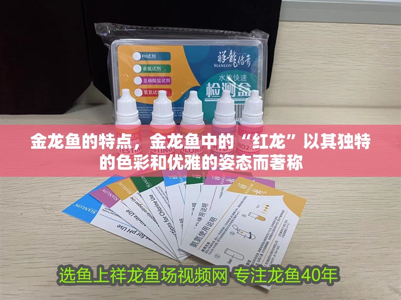 金龍魚的特點，金龍魚中的“紅龍”以其獨特的色彩和優雅的姿態而著稱